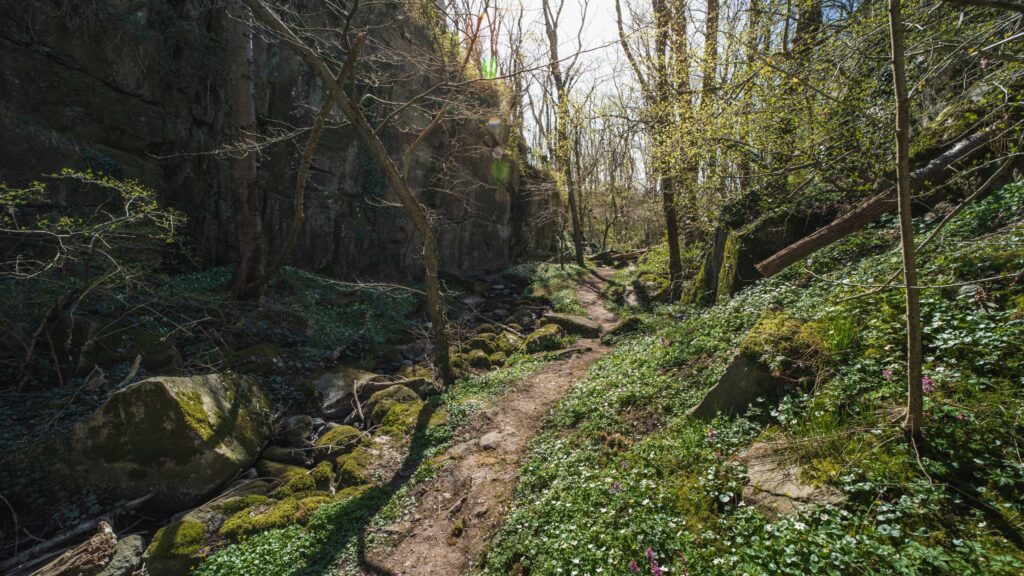 Subterranean (De underjordiske) are said to inhabit the island of Bornholm in Denmark.