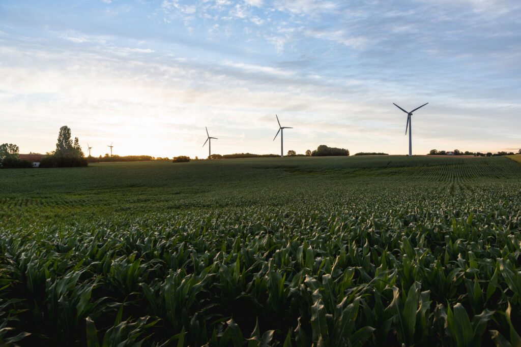 Wind parks are part of the special sustainability measures you can enjoy on your wedding day on the Danish island of Bornholm.