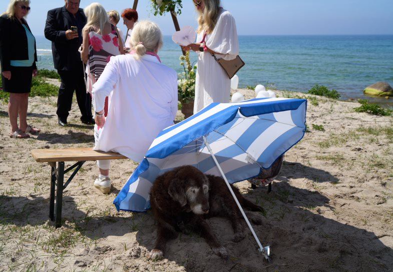 A dog rests under an umbrella during a wedding party on a beach on Bornholm in Denmark.