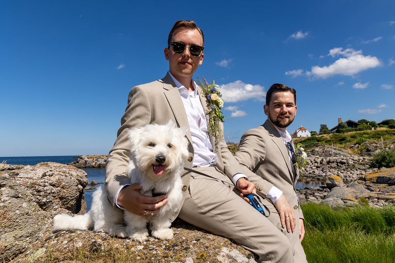 Newly wed gay couple sit with their dog on the cliffs of Bornholm.