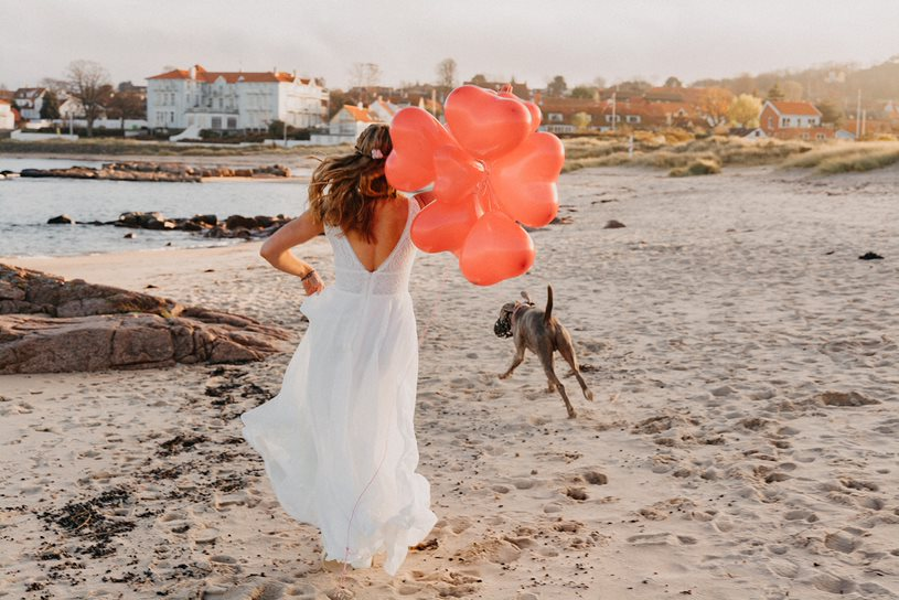 A bride is running along a beach with her dog after a beach weddin on Bornholm.